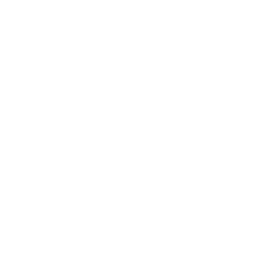 Silverstar Automotive Solutions